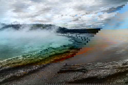 Steam rising from a geothermal lake in Rotorua, New Zealand