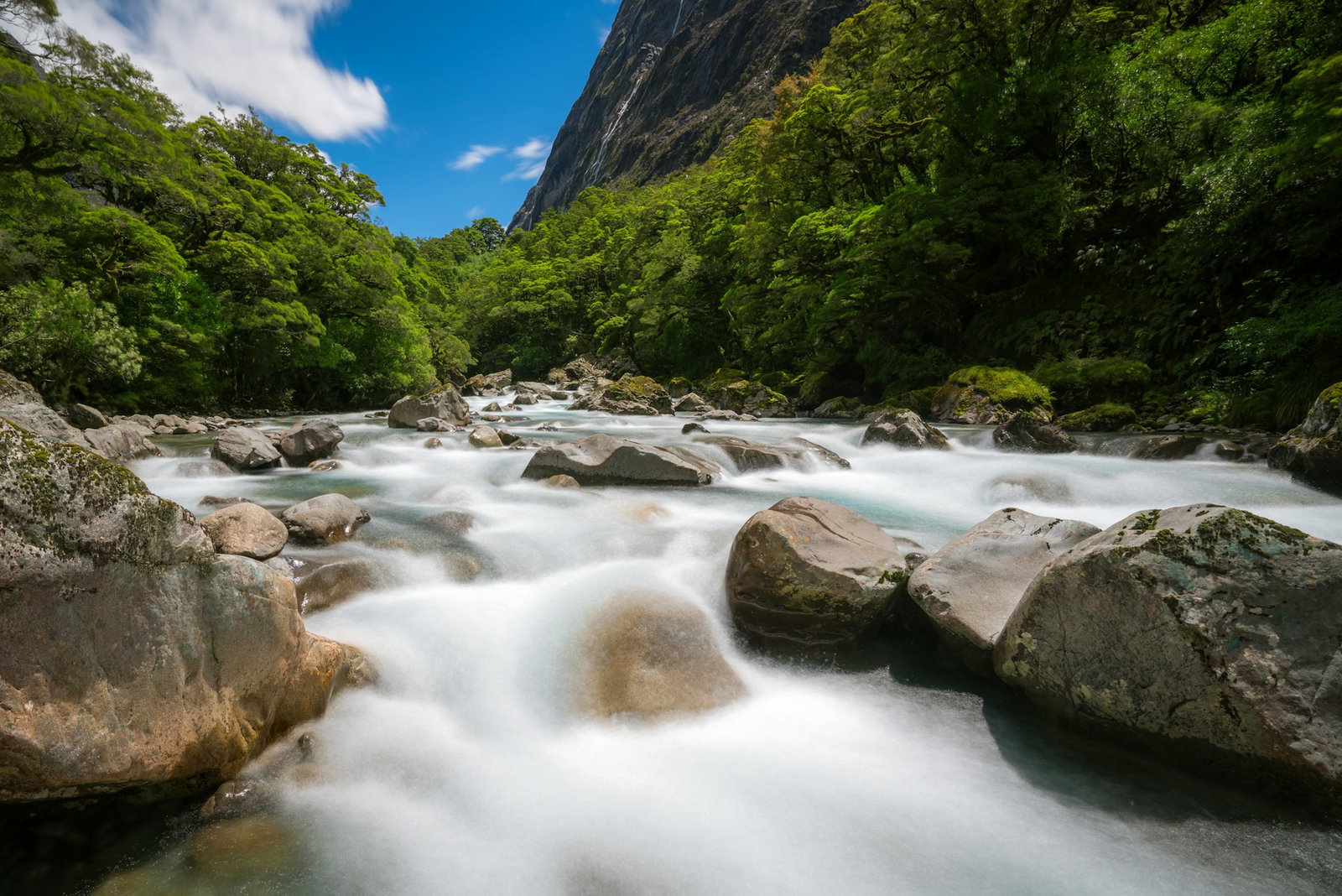 River stream with bright green trees and a blue sky