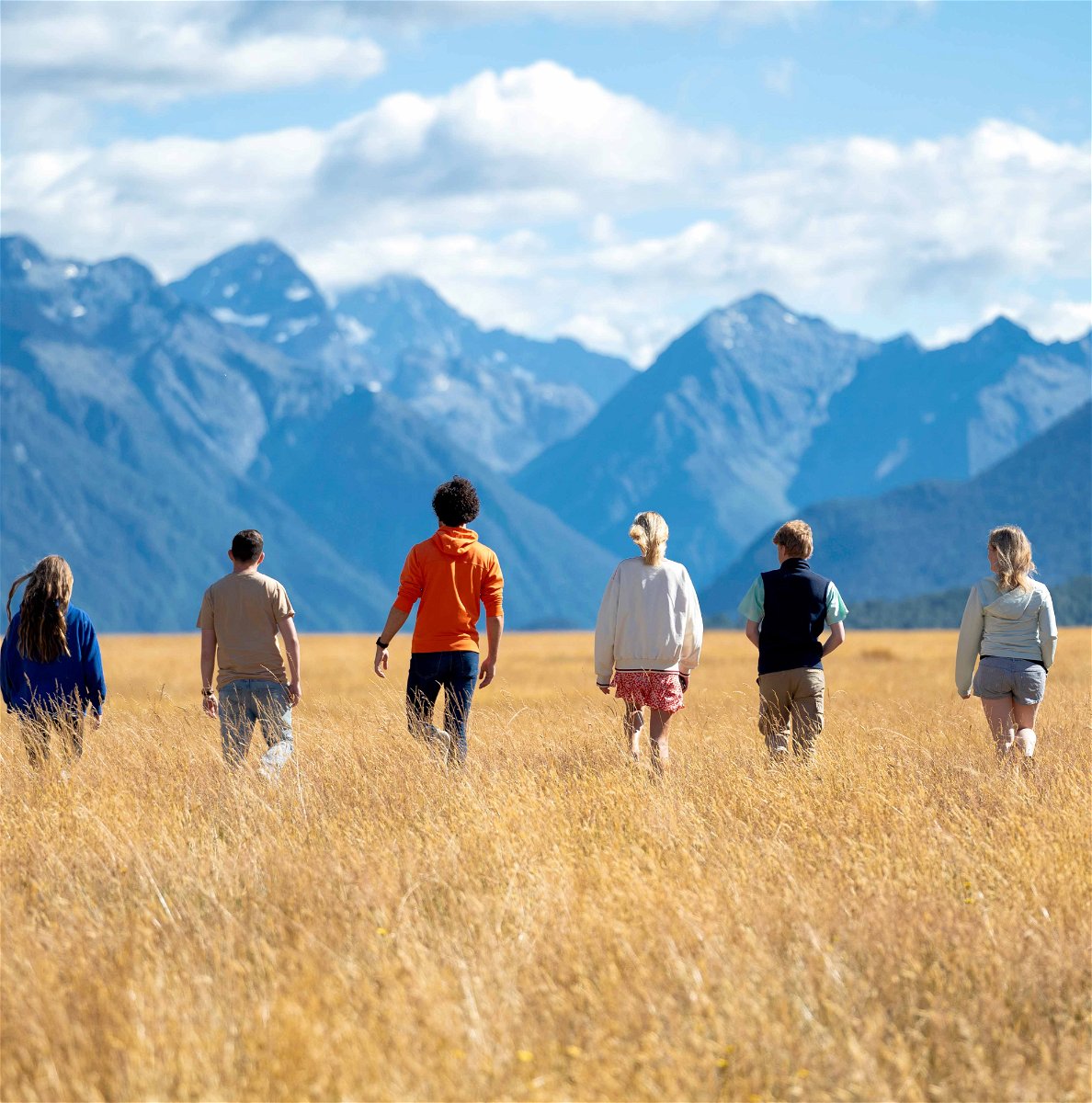 Travellers watching through grass fields in South Island New Zealand