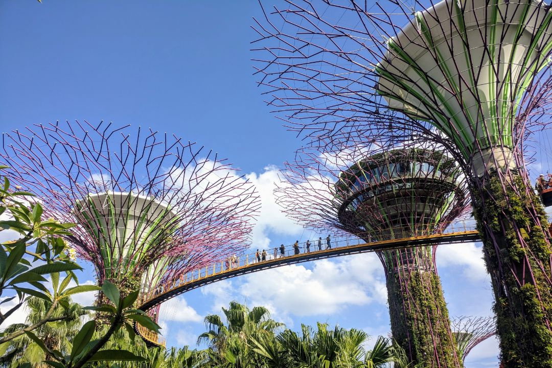 Supertrees at Gardens by the Bay in Singapore