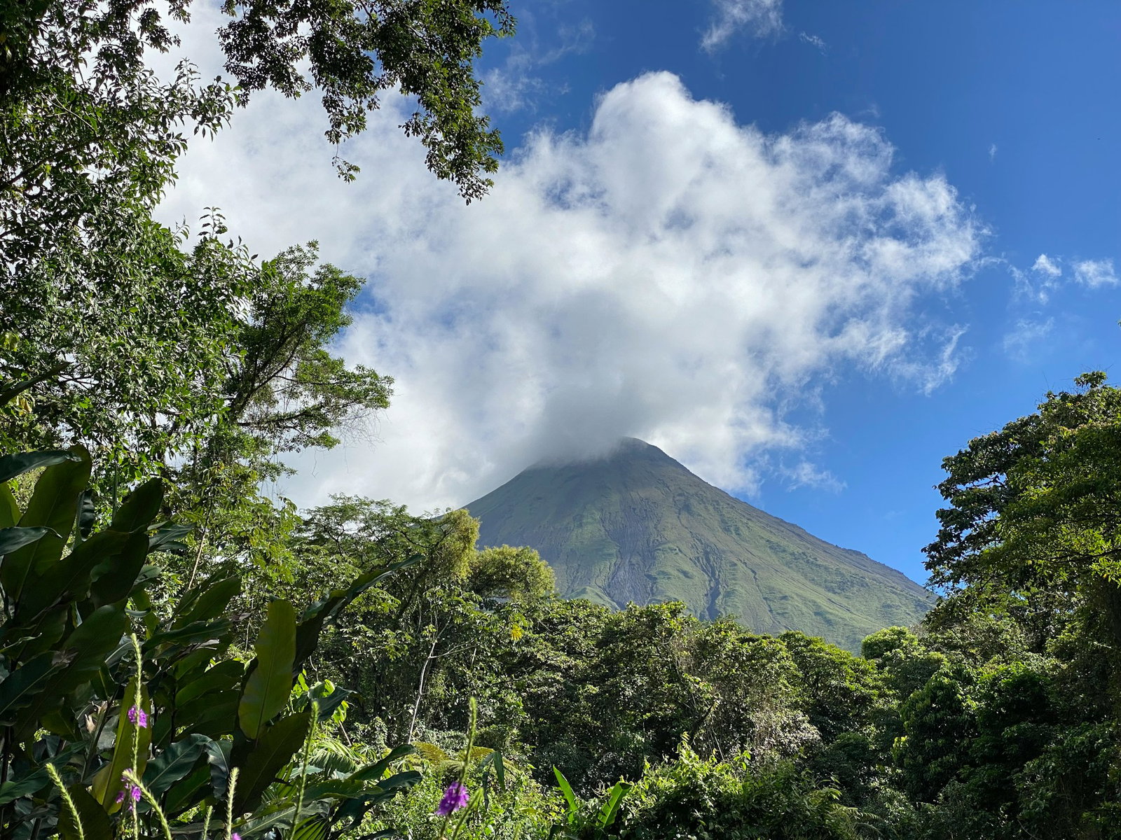 Bright green trees with green volcano in the near distance, shrouded by white clouds in a blue sky