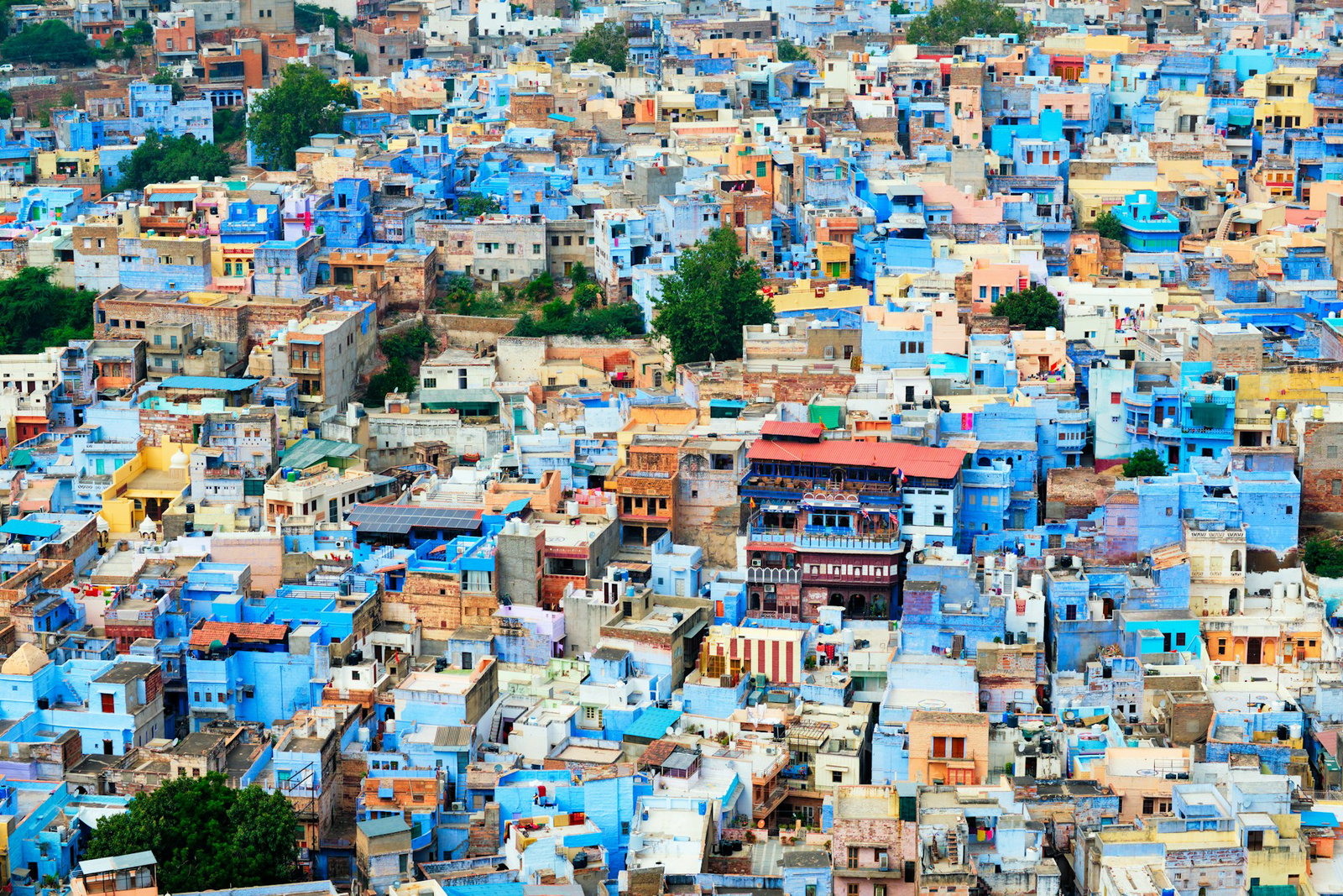 Vibrant cityscape with majority bright blue buildings with flat rooftops, Jodhpur