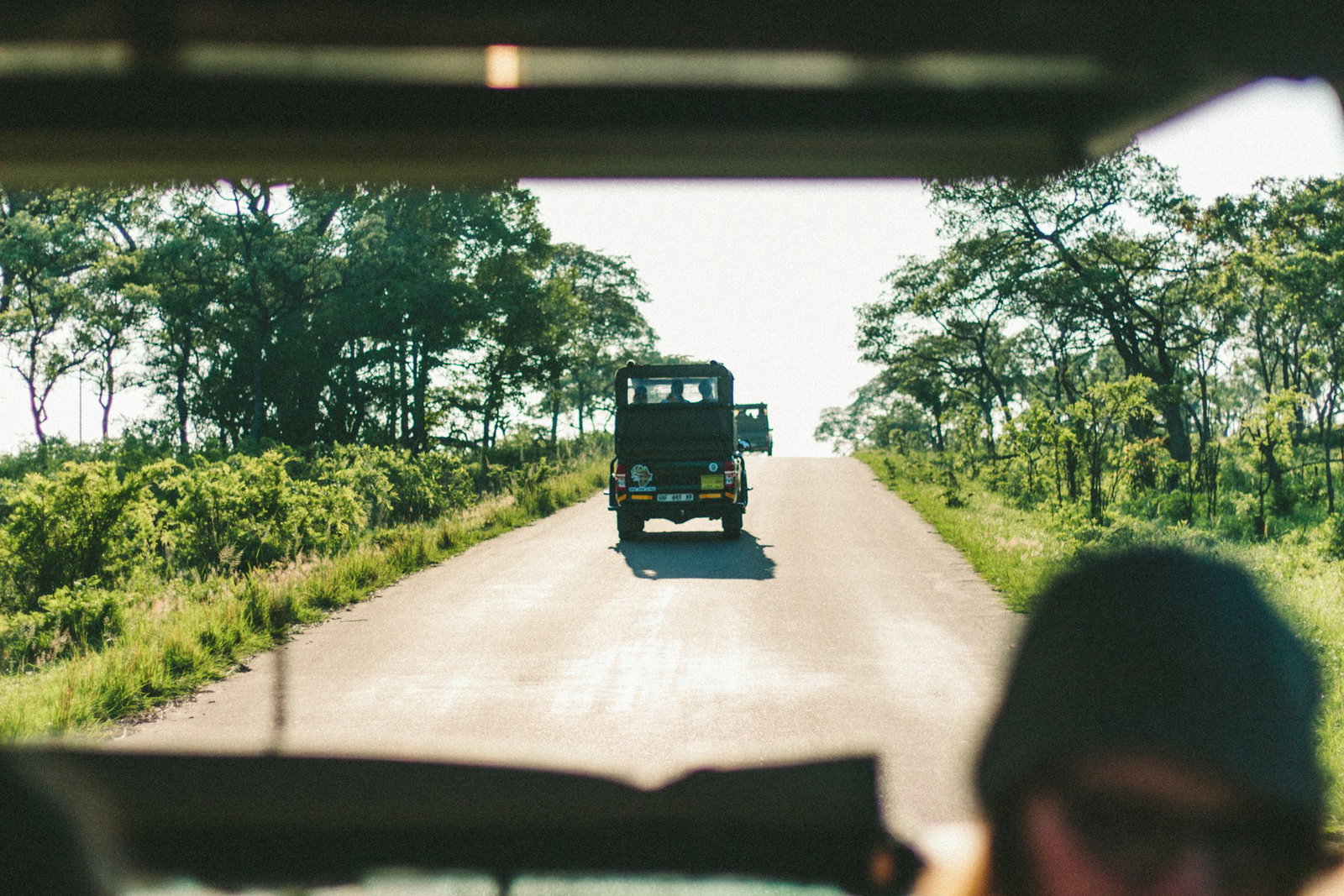 Safari 4WD vehicle on road for game drive, surrounded by lush wildlife outside park, taken from vehicle, South Africa