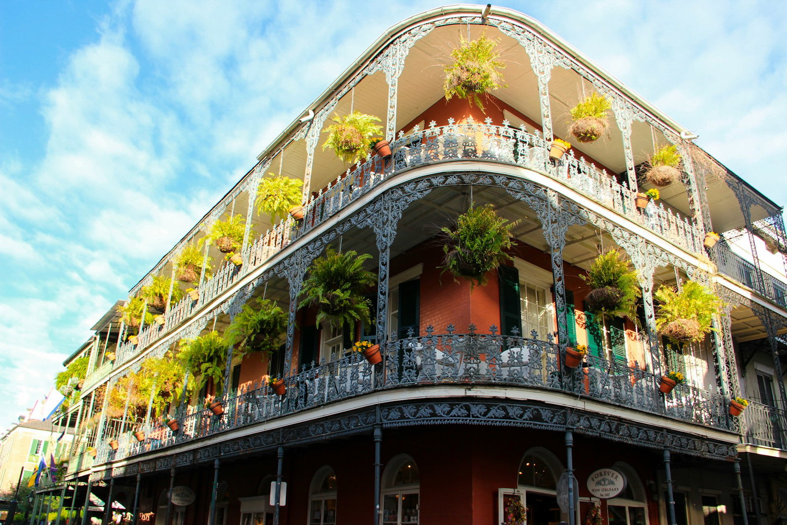 Creole style curved building with delicate white banisters and plotted plants hanging above each section