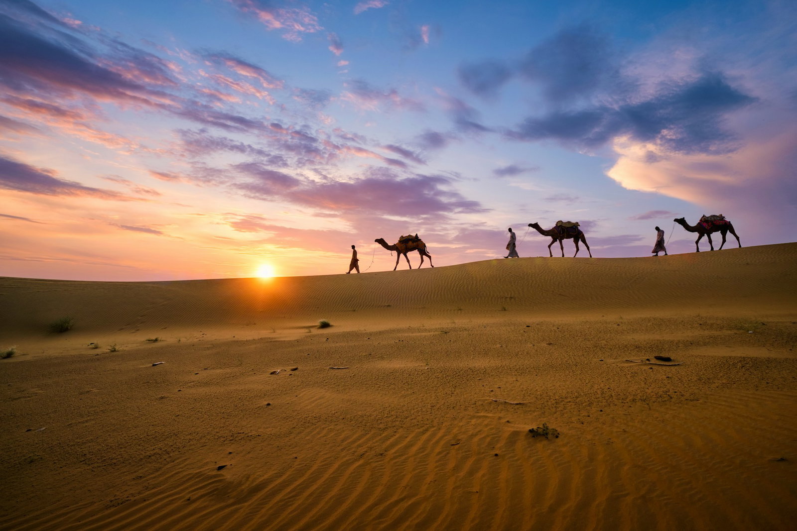 Desert sand hill with sunset, three men walking with camels