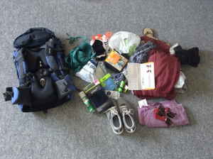 The contents of a bag emptied on the floor