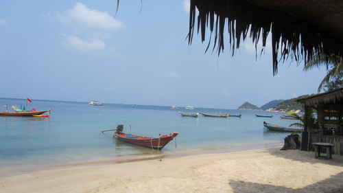 Boats on the shore of a beach with huts in Koh Tao, Thailand