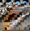 Gap 360 Traveller at Rome Colosseum
