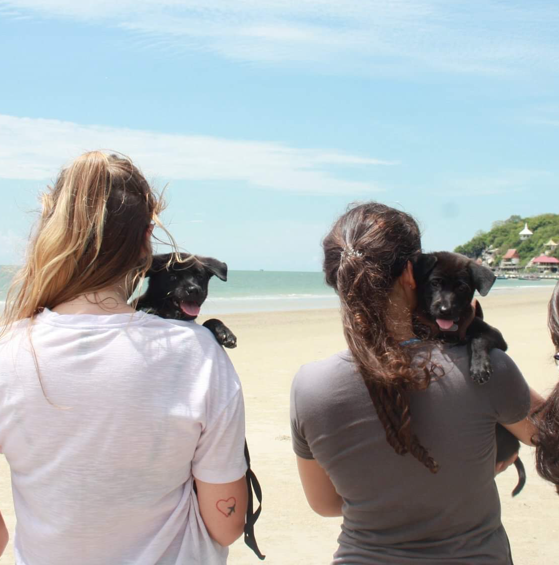 People holding puppies on beach in Thailand