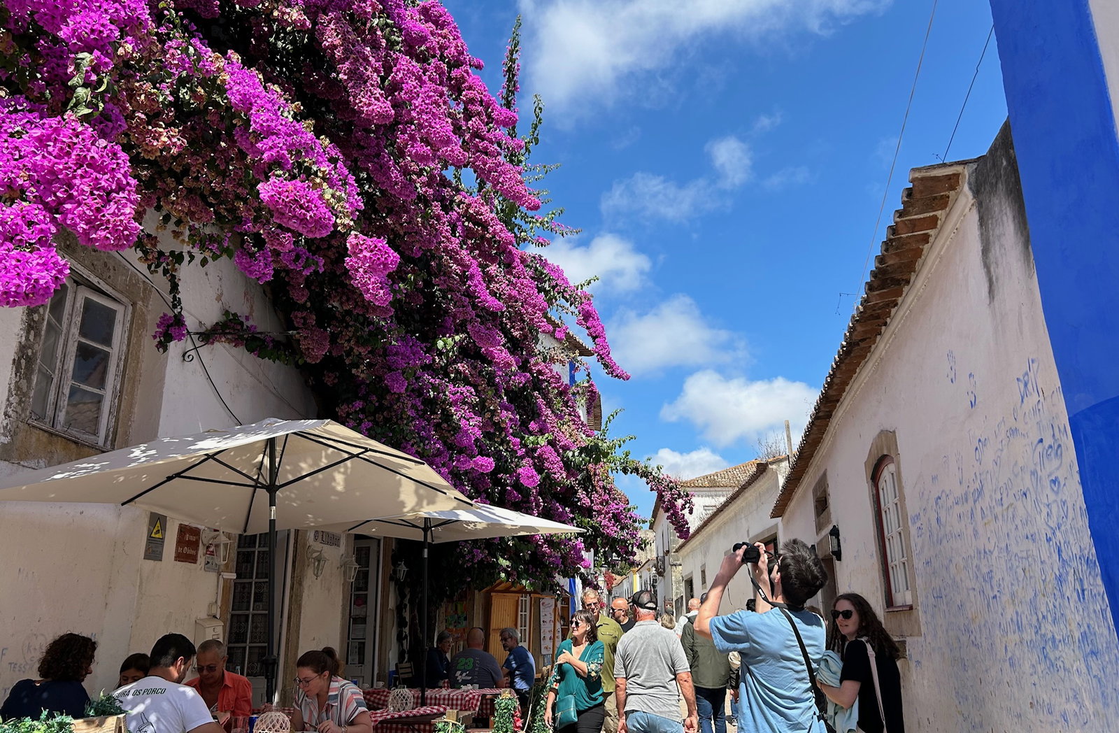 Bright purple flowers on top of white building in traditional street with blue skies