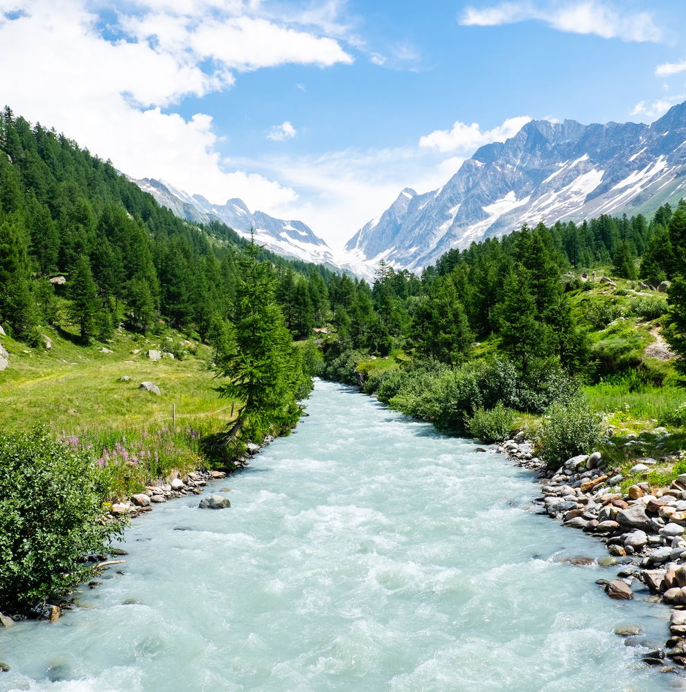 A heavy flowing river, trees and the Swiss alps