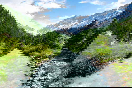 A heavy flowing river, trees and the Swiss alps