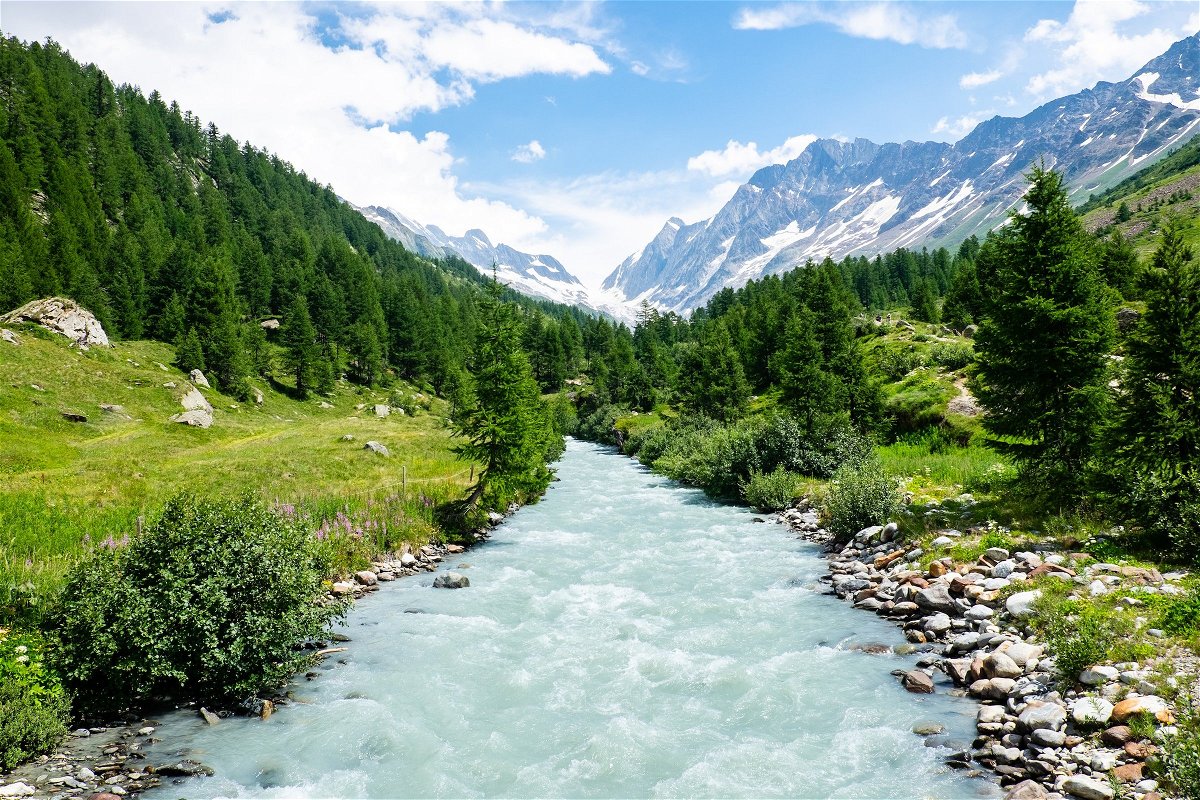 A heavy flowing river, trees and the Swiss alps
