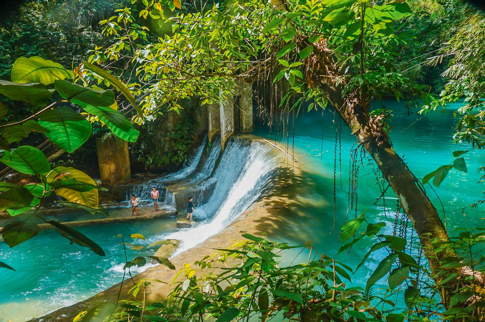 Bright turquoise river leading into small waterfall and surrounded by tropical green jungle