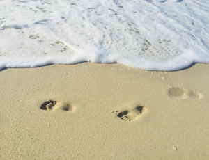 Footsteps in the sand in front of the sea