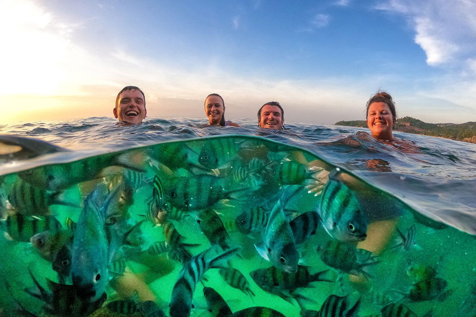 Group of lades swimming with fish in the ocean