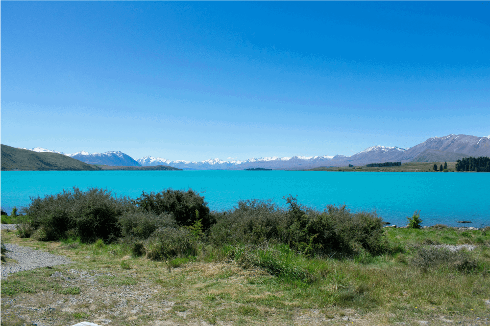 View of Lake Tekapo in New Zealand