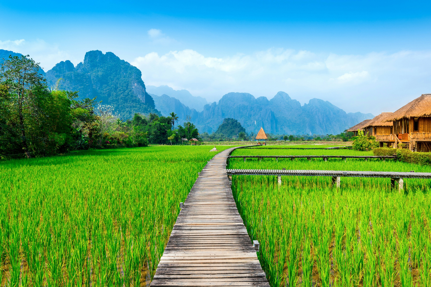 Blue skies and green rice fields in Vang Vieng, Laos