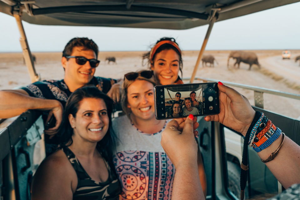 Travellers taking photo near elephants on safari truck