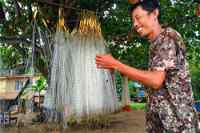 A volunteer inspecting fishing nets