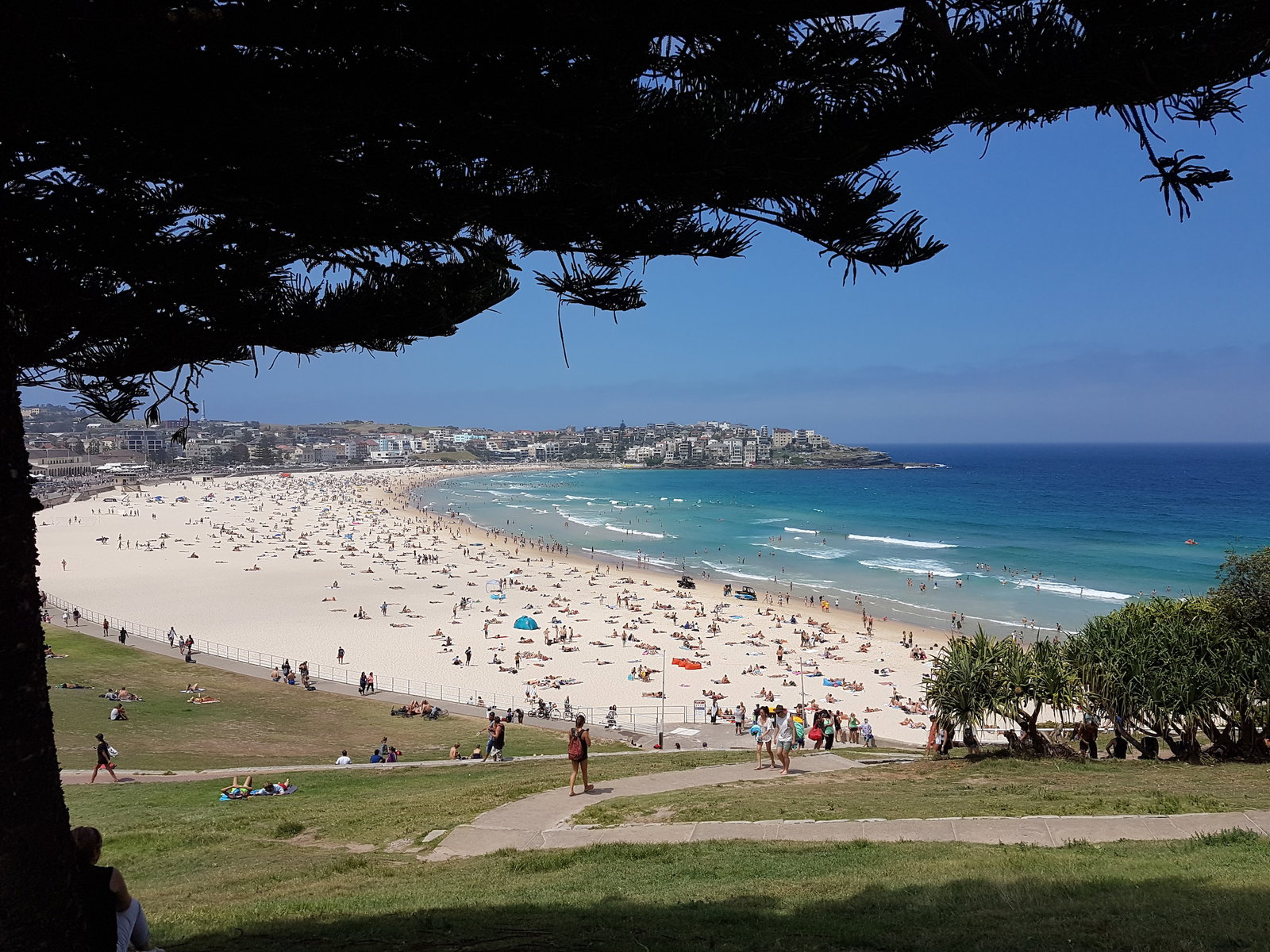 A path down to a busy Bondi Beach in Sydney, Australia