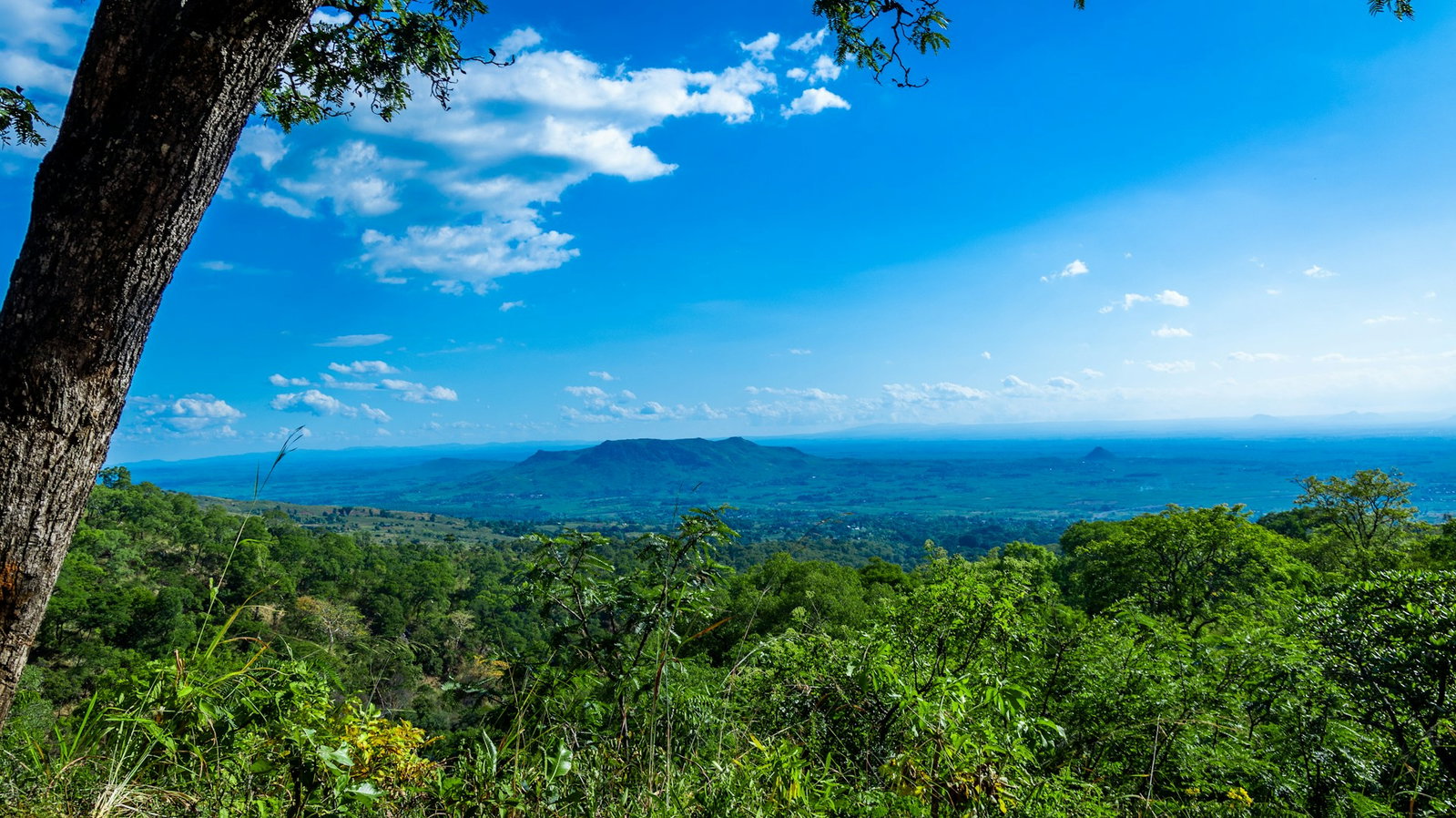 Malawi Mountains and Jungle