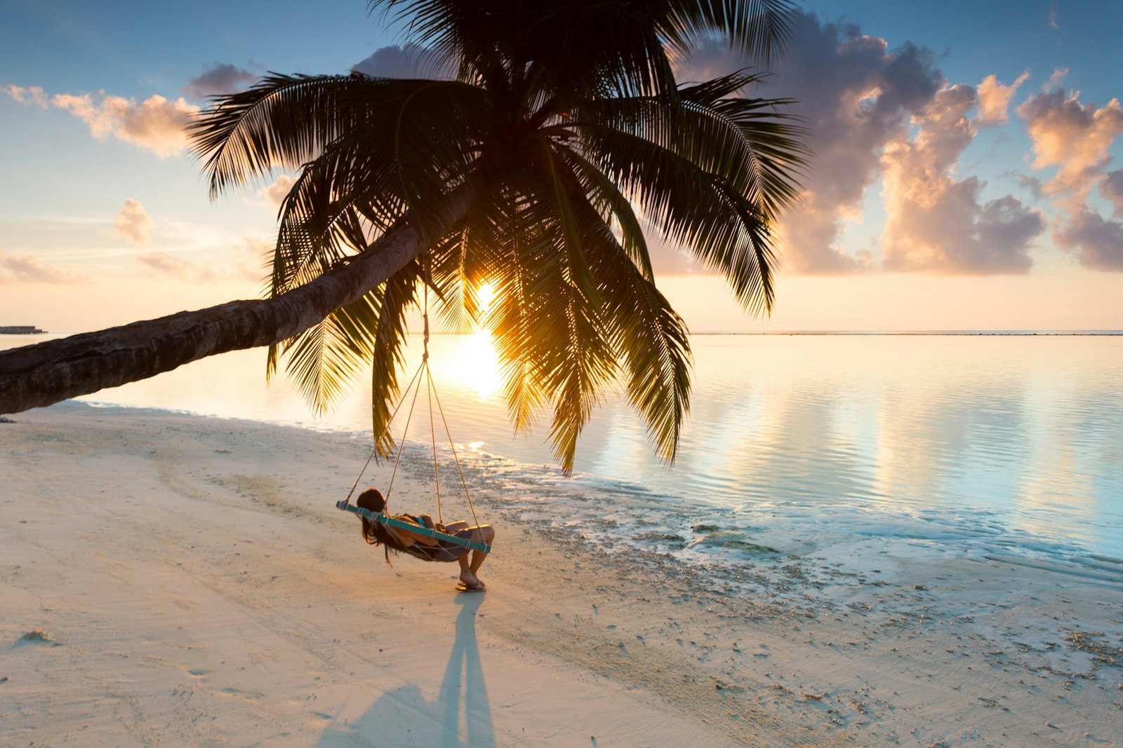 Person on a tree swing in the maldives near ocean at sunset