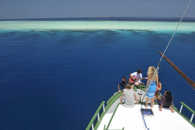 Boat Tours