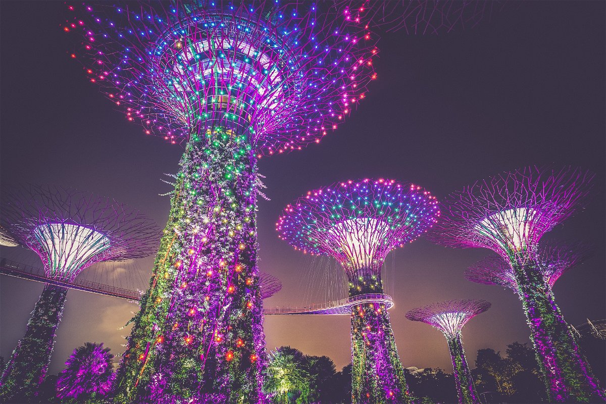 Supertree Grove lit up at night in Singapore 