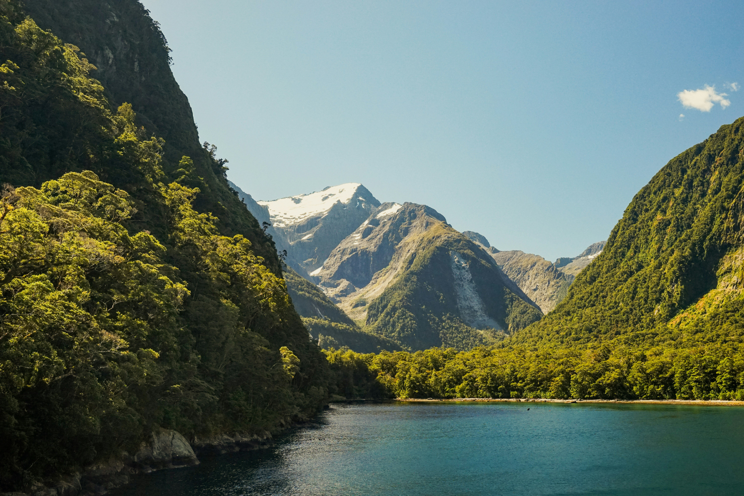 Fjords and river of Milford Sound in New Zealand