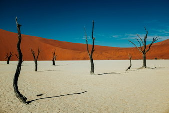 Namib Desert in Namibia