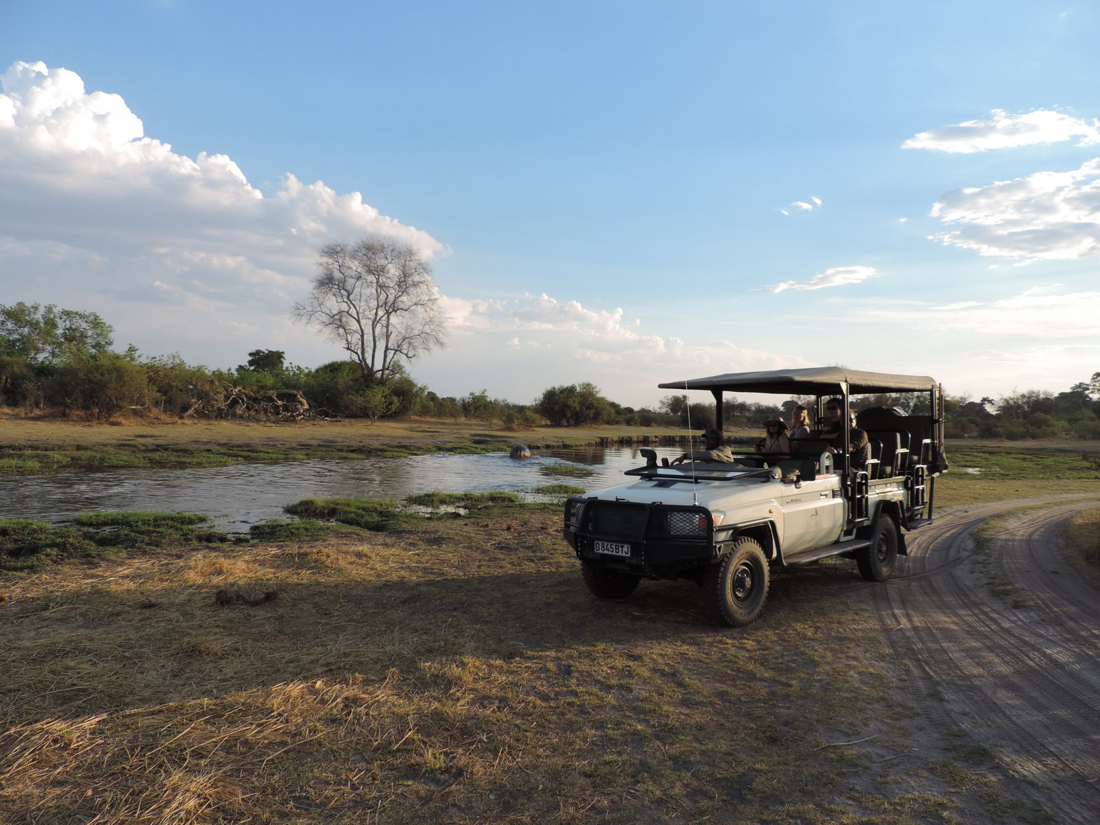okavango delta botswana