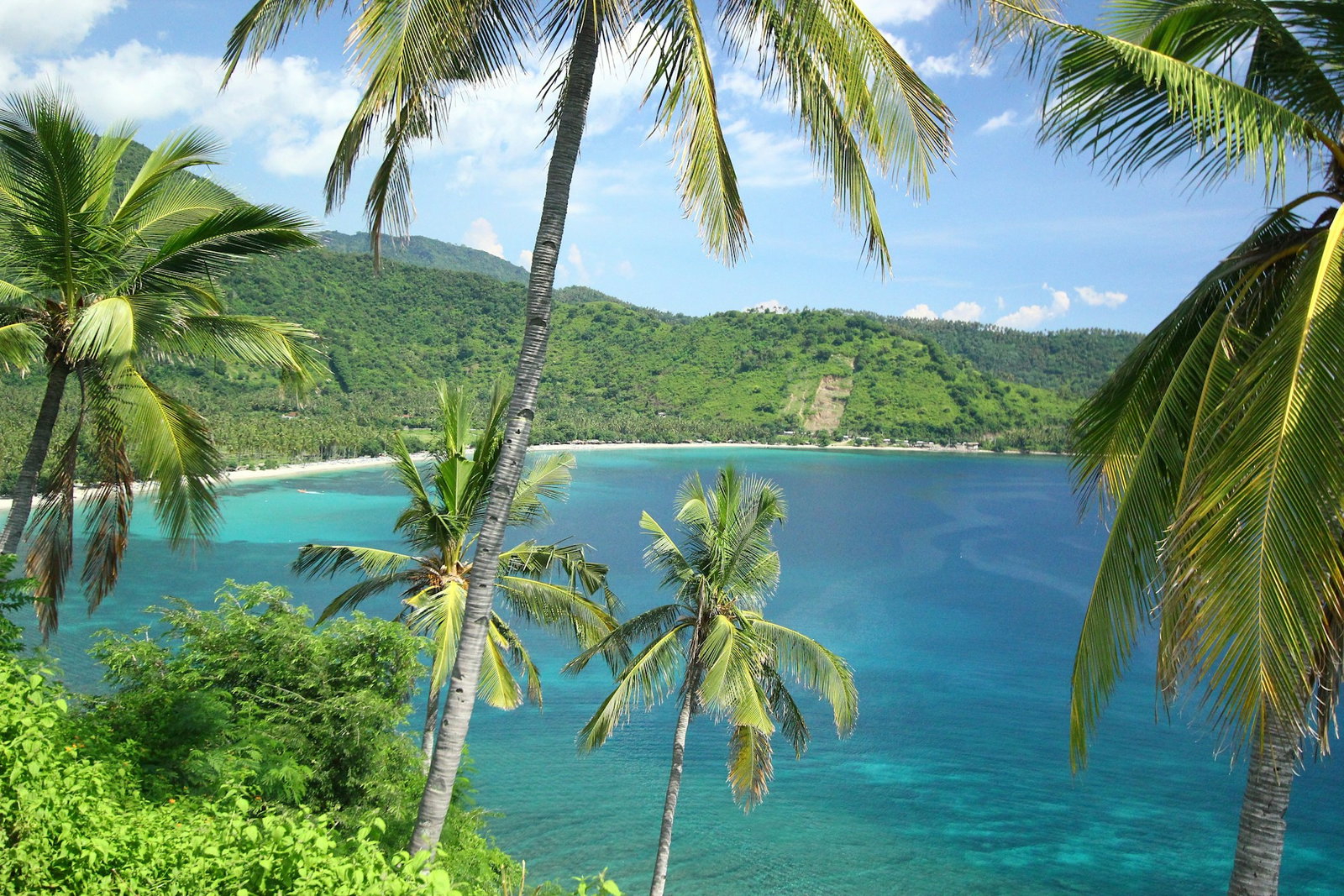 Palm trees overlooking deserted island with unspoilt stretches of white sand curving around ocean with emerald cliffs