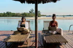 Two people on sunloungers using laptops