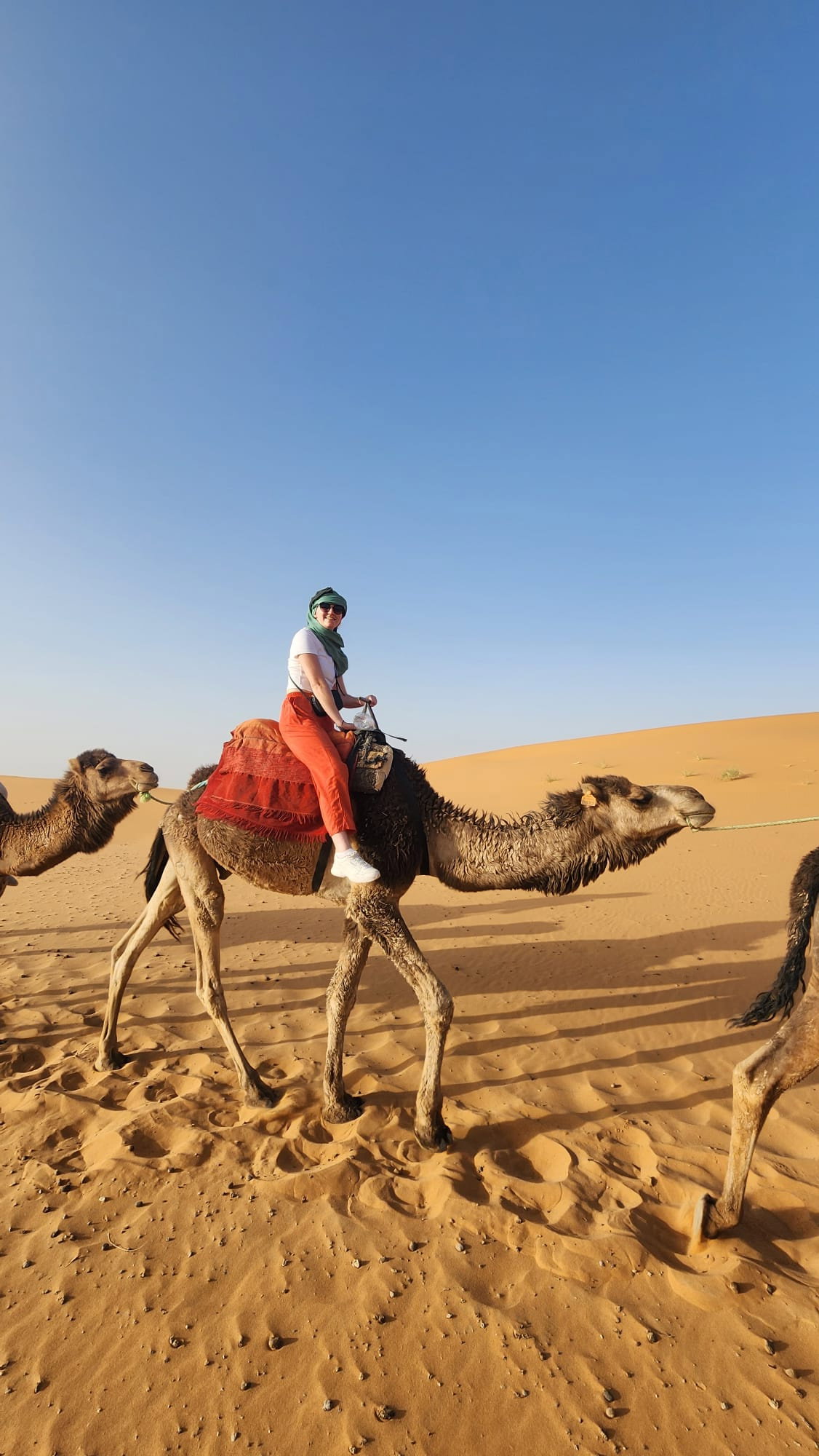 Person smiling and riding camel in the desert under a clear blue sky