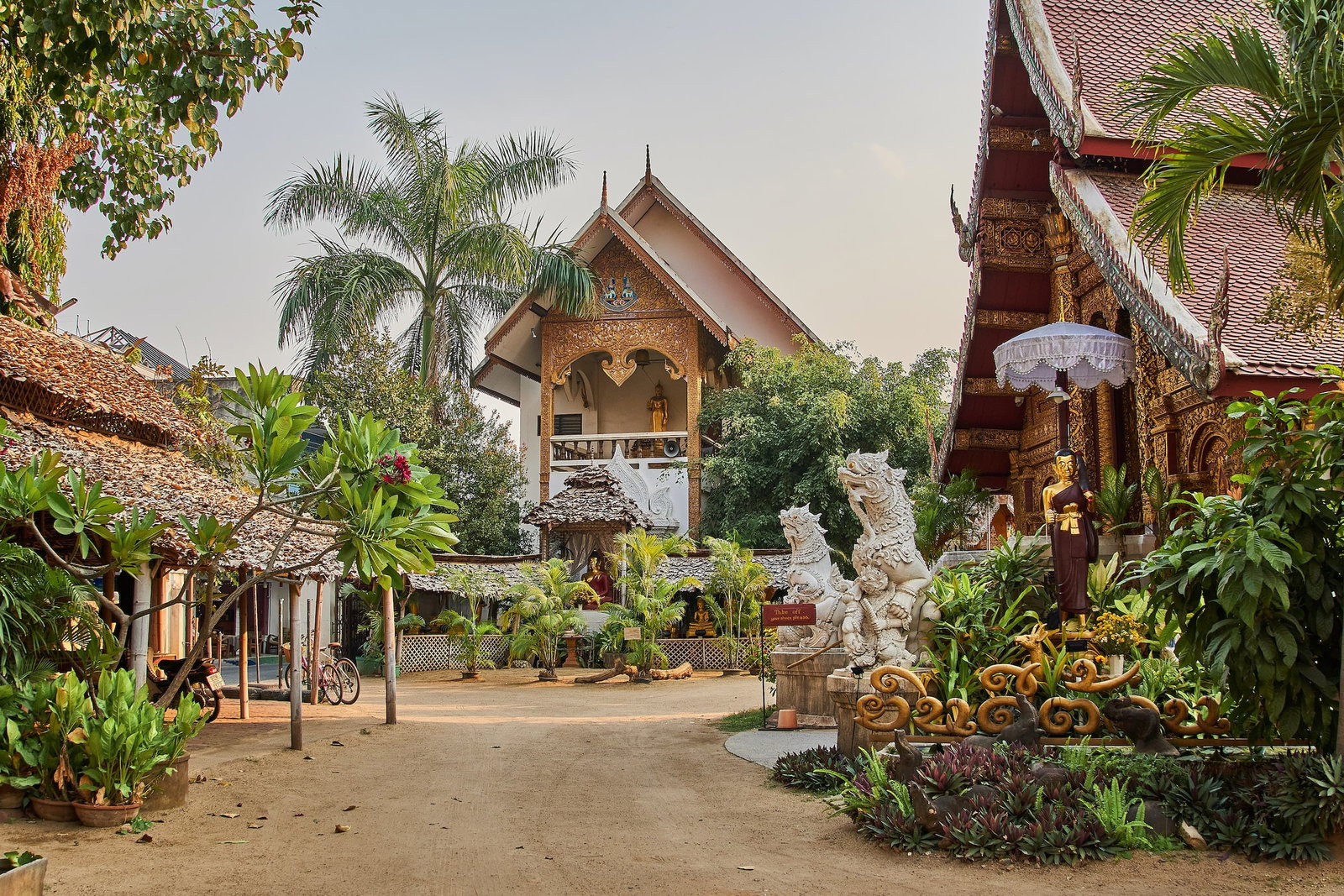 A dirt road between golden temples in Thailand