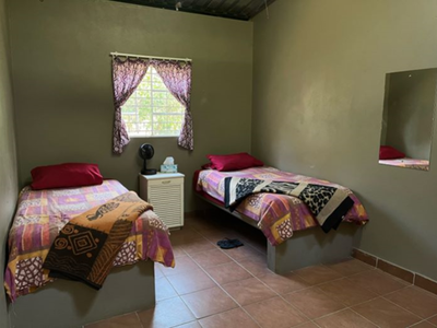 accommodation at monkey sanctuary in south africa at volunteering project