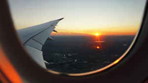 plane wing