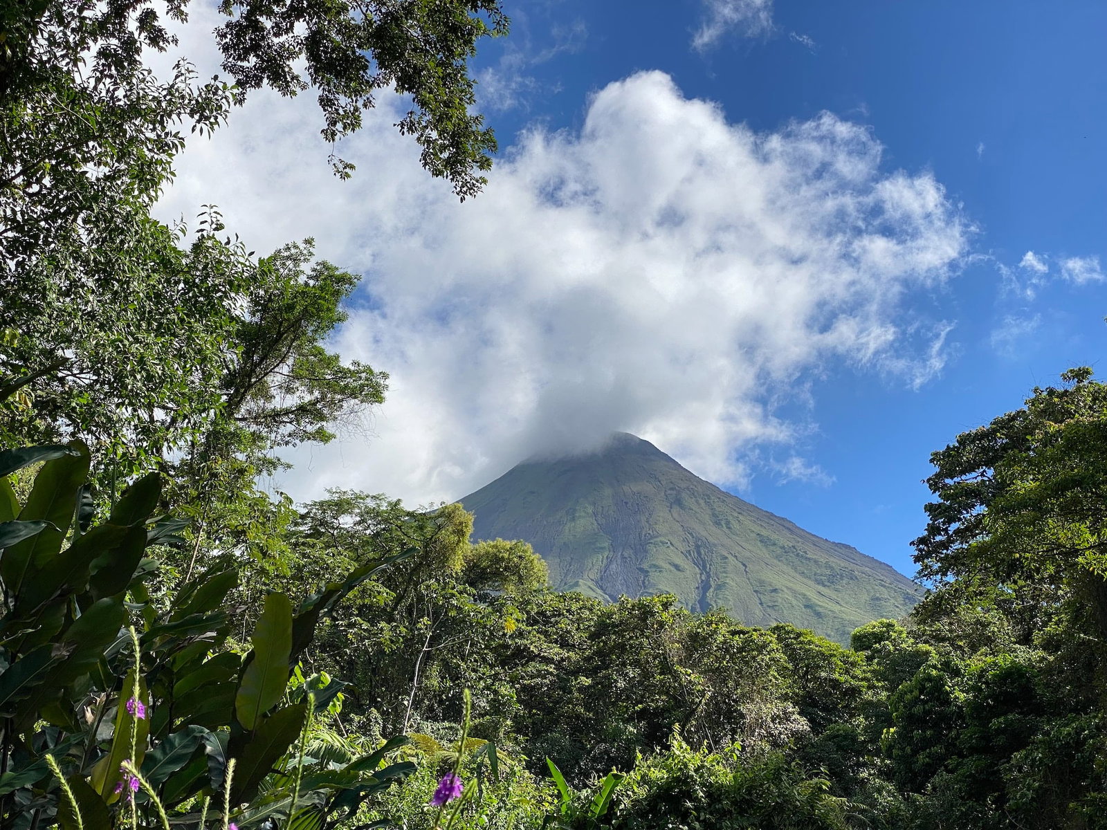 Arenal volcano smouldering with smoke amongst dense jungle