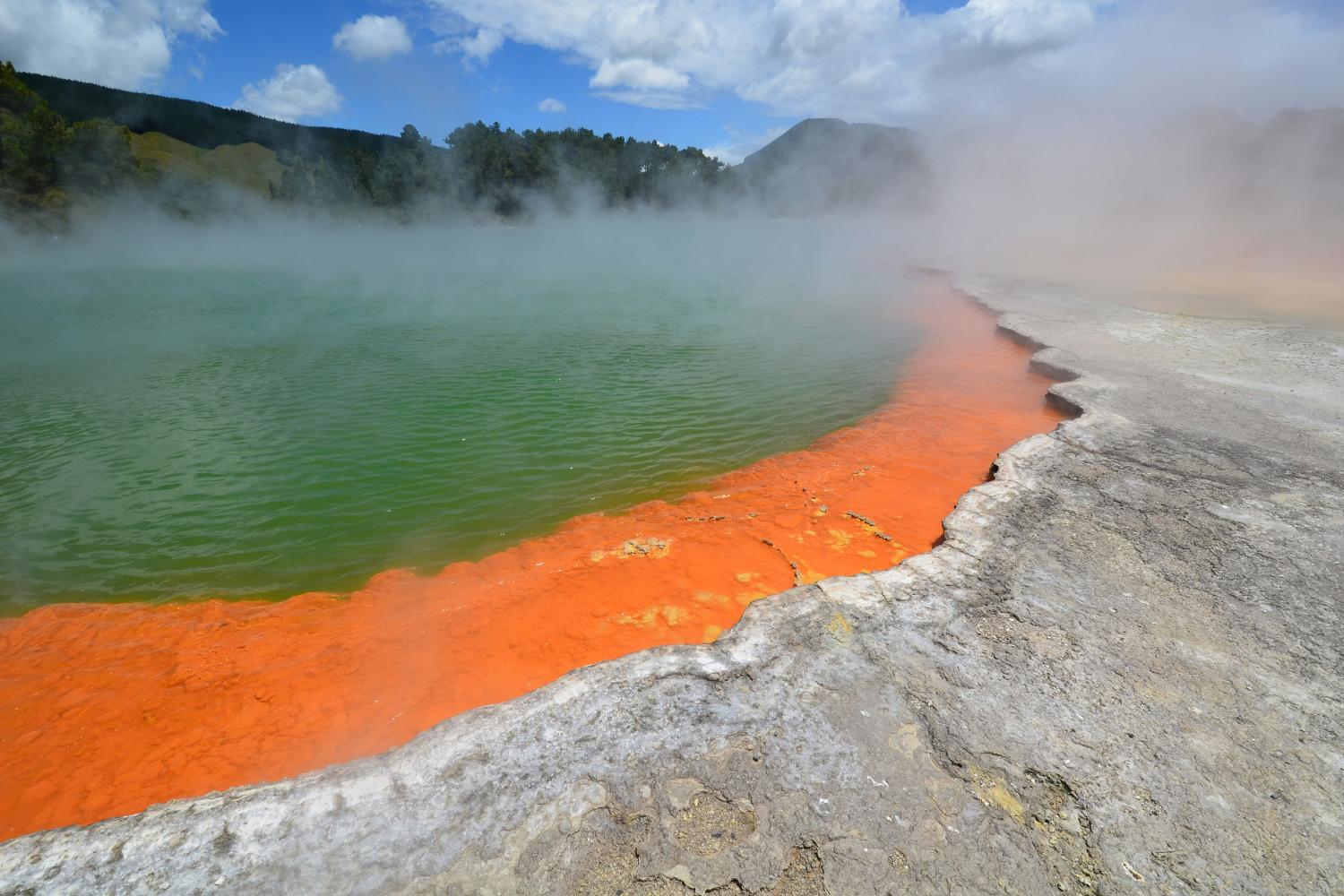 Hot springs steaming in Rotorua in New Zealand