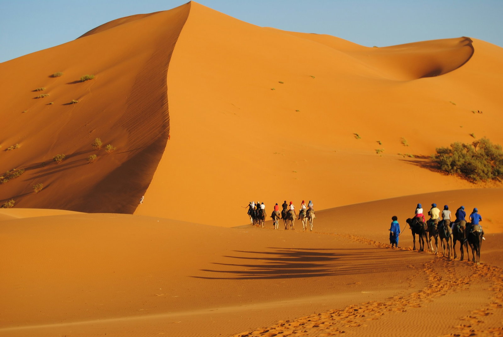 People riding camels over epic orange sand dunes in the desert