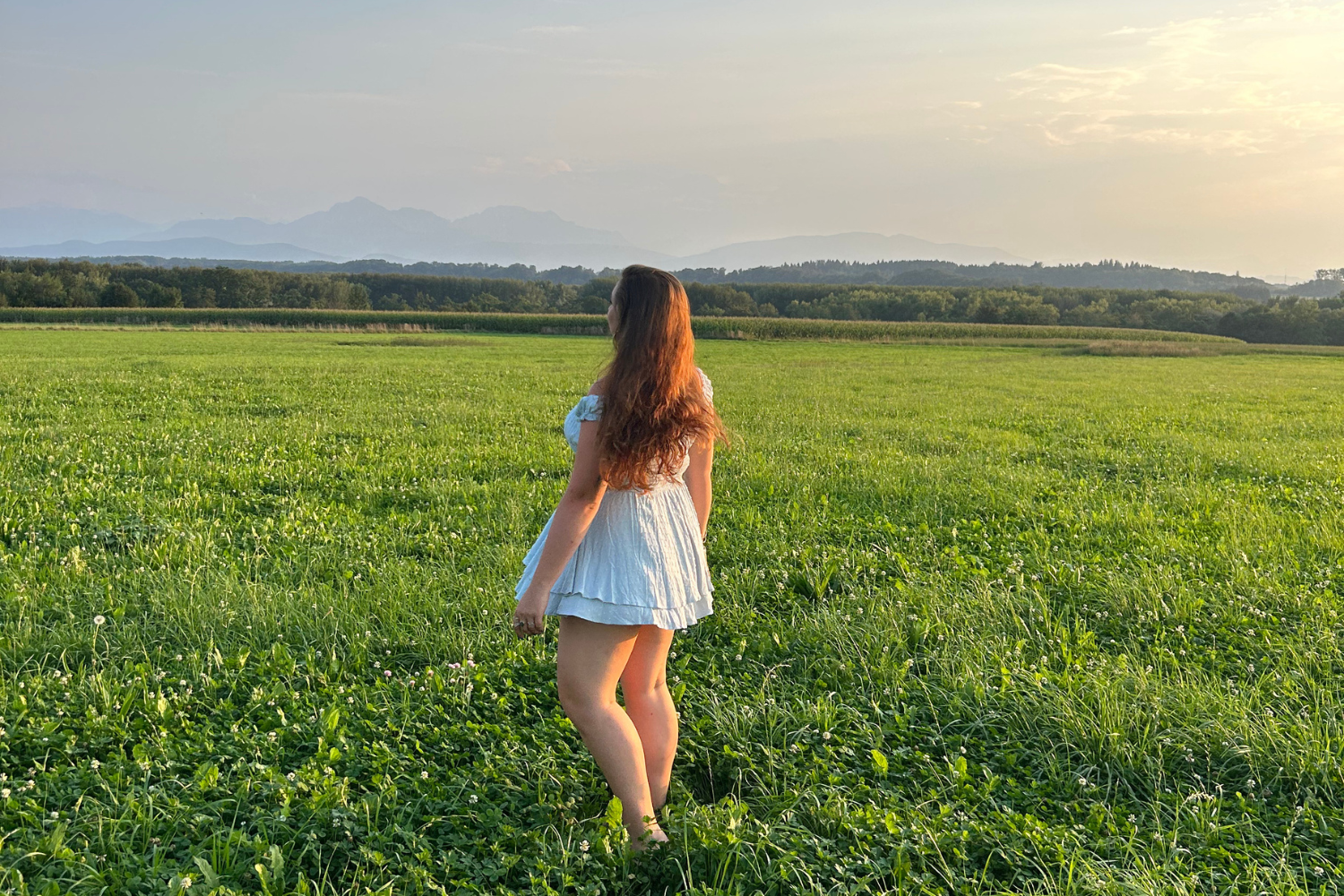 Traveller in fields in summer in saltzburg in Austria