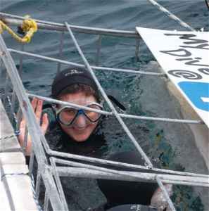 A traveller waving from a shark cage on the surface of the water