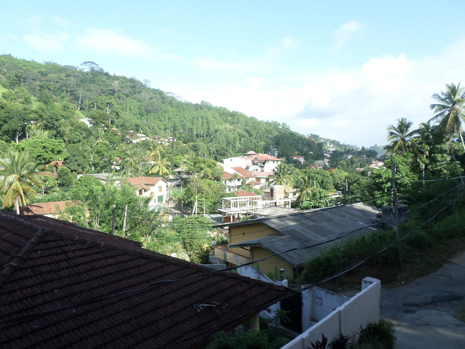Houses in a village on the mountain, surrounded by dense vegetation
