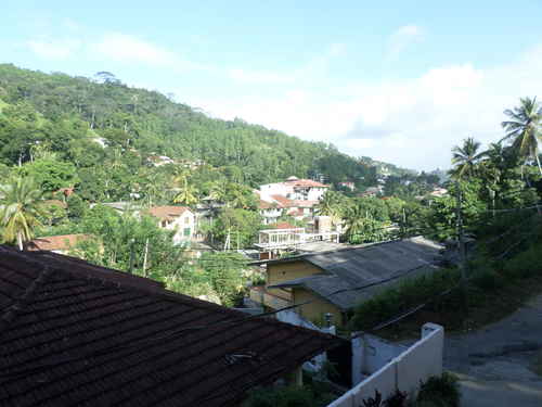 Houses in a village on the mountain, surrounded by dense vegetation