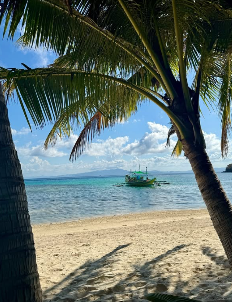 Palm tree over view of boat in water in the Philippines
