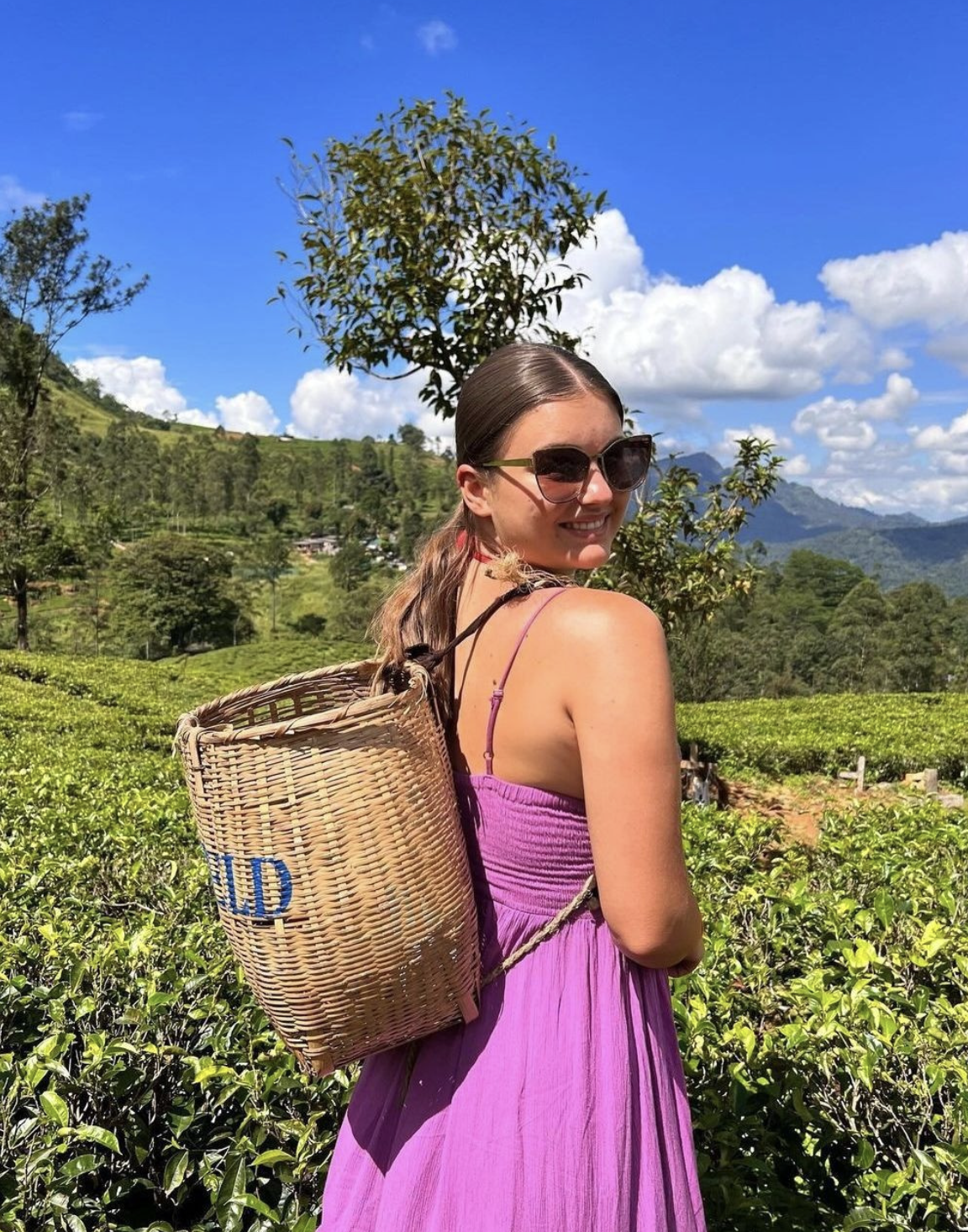 Traveller wearing basket on back in tea plantation in Sri Lanka
