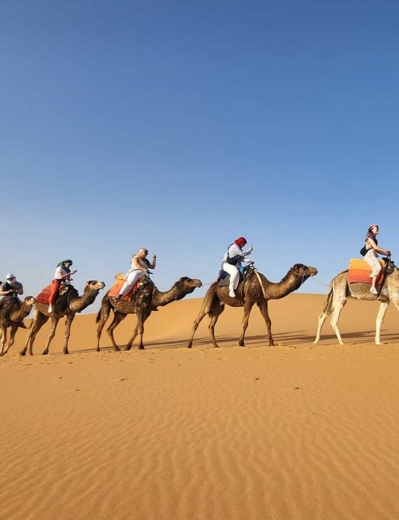 Travellers on camel ride in the Sahara Desert in Morocco
