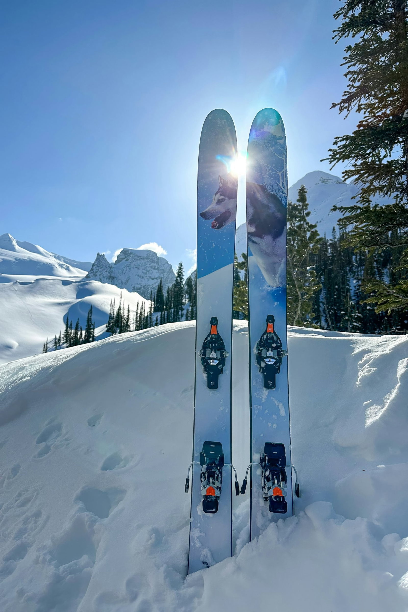 Ski blades with husky wolf painted on top propped up in blanket of snow surrounded by more snowy hills under clear blue skies