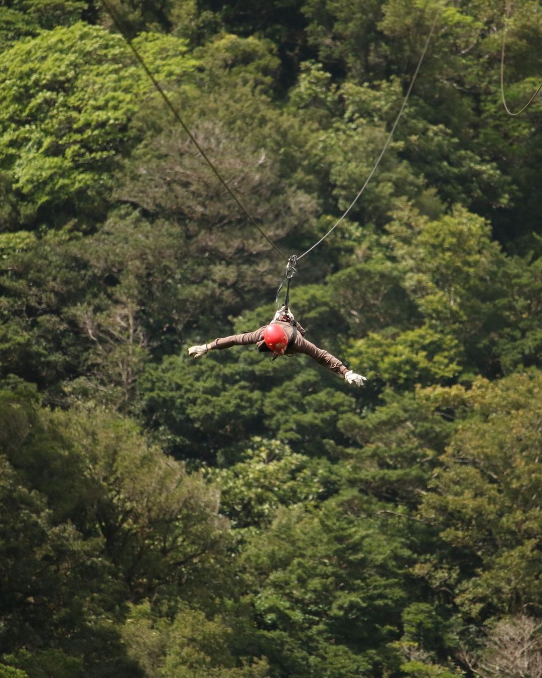 Traveller ziplining in Montverde Cloud Forest, Costa Rica 